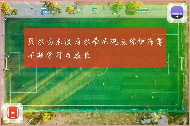 贝尔戈米谈马尔蒂尼观点称伊布需不断学习与成长
