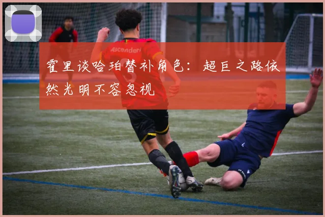 霍里谈哈珀替补角色：超巨之路依然光明不容忽视